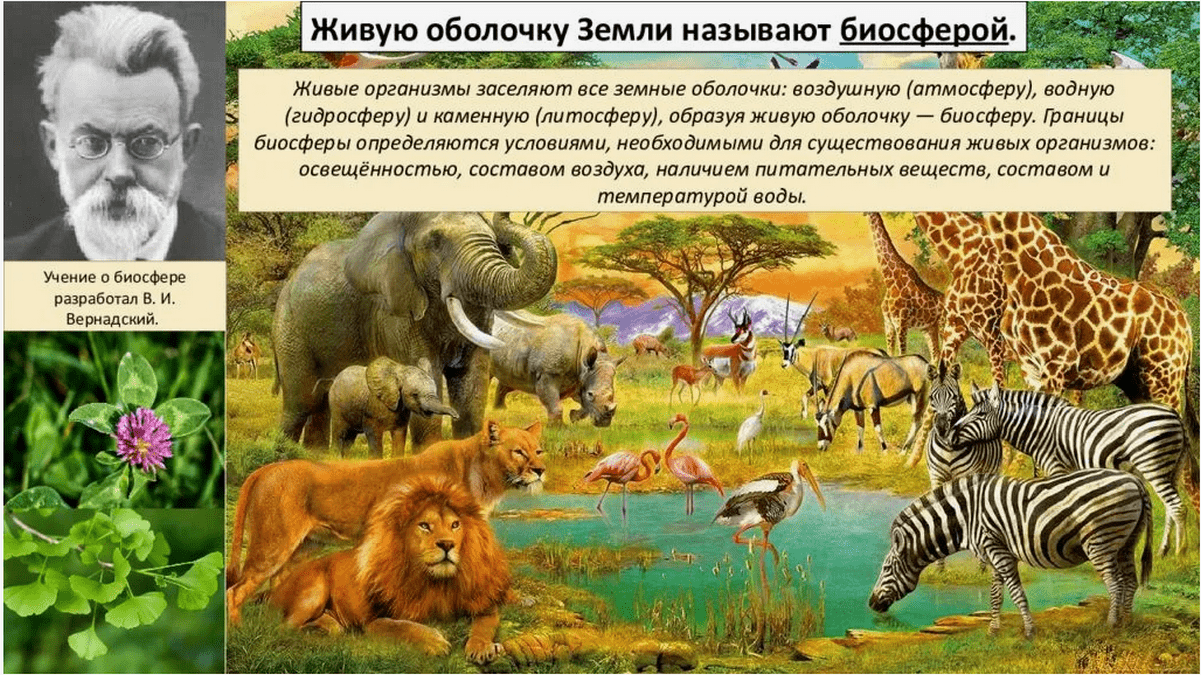  Как нам вернуть Рай книга Биосфера</h2> <!-- /wp:heading -->Биосфера Земли во времена рая и пути ее восстановления
