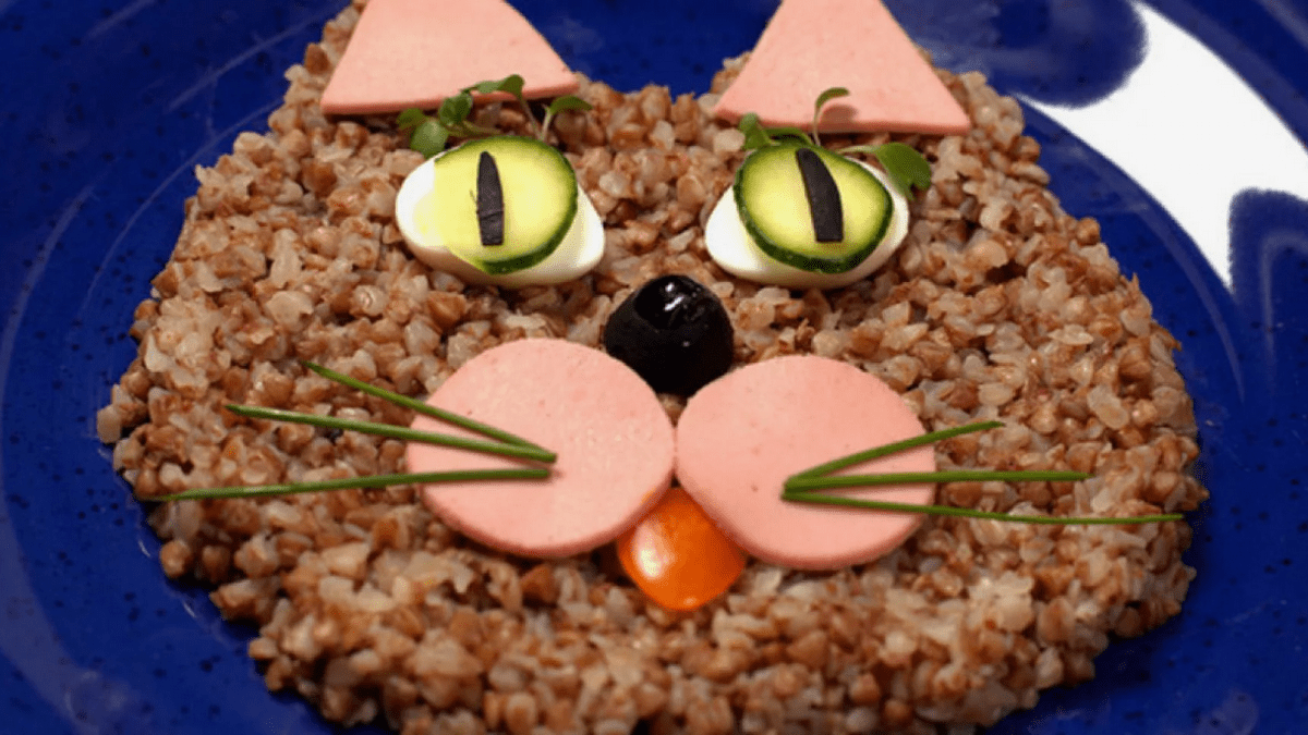 Блюда из гречневой каши Кот